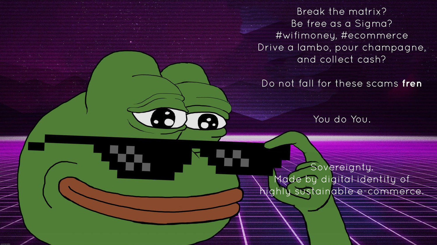 frog meme that engages the reader to stay safe from scams regarding dropshipping and online purchases and how to develop ecommerce and increase conversion rates for businesses